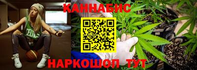 гашик Кинель
