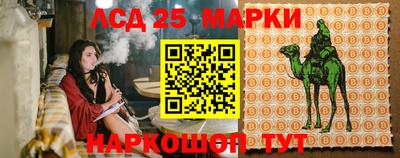 гашик Кинель