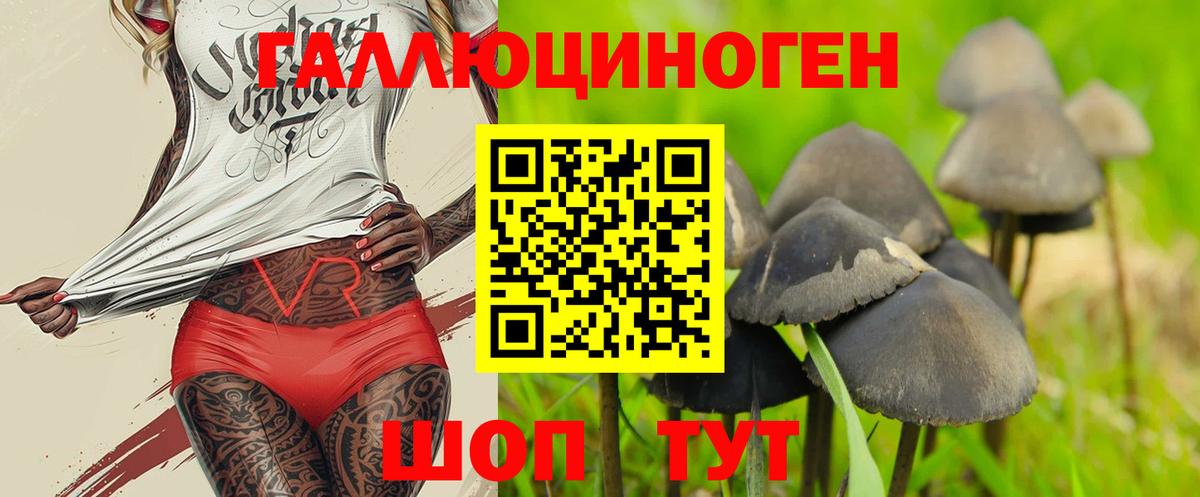 продажа наркотиков  Галлюциногенные грибы мицелий  Вход с VPN  Кашира 