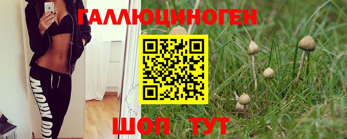 Галлюциногенные грибы прущие грибы Кашира